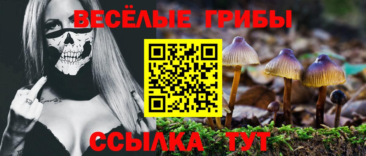 Псилоцибиновые грибы мицелий  Вход с VPN  Михайловка  Псилоцибиновые грибы Psilocybine cubensis 
