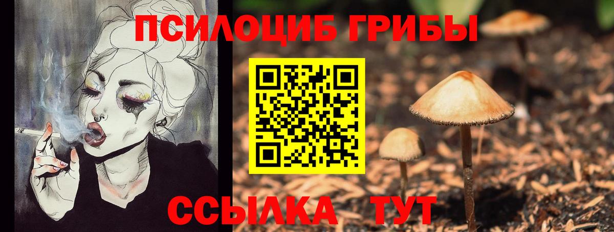 Псилоцибиновые грибы MAGIC MUSHROOMS Михайловка